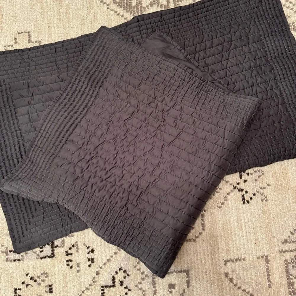 2 West Elm Silky TENCEL Pick Channel Stitch Quilted KING Shams
